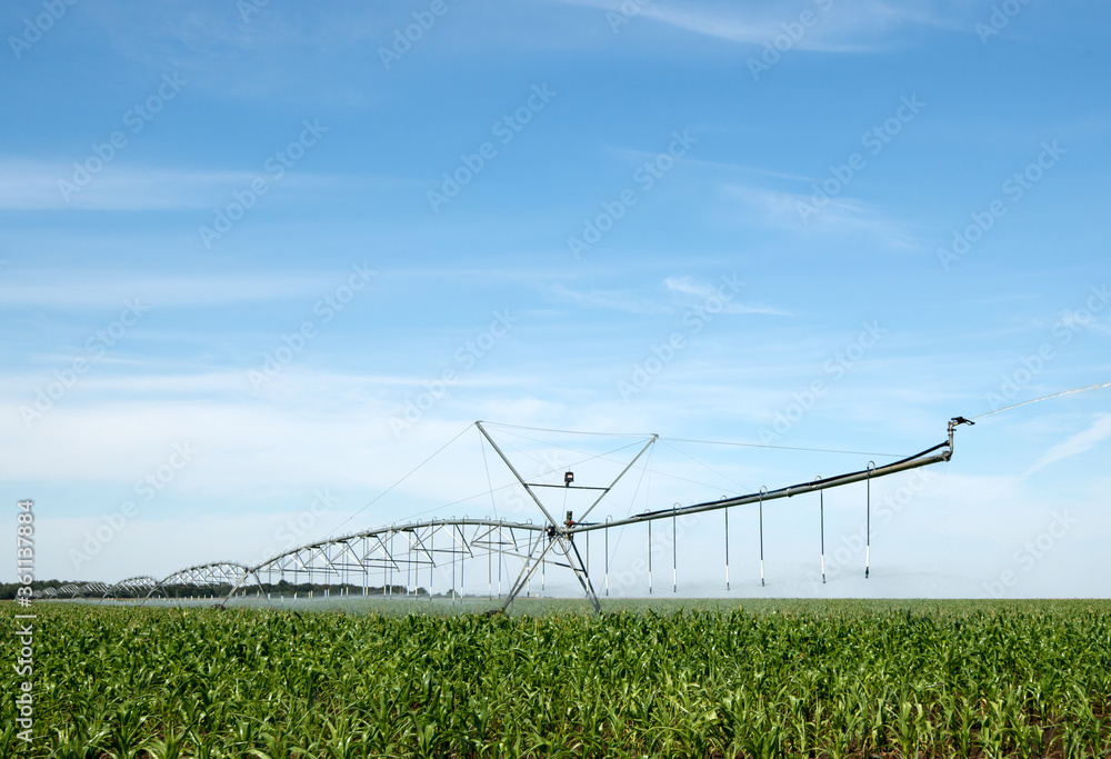 watering machine on a corn field