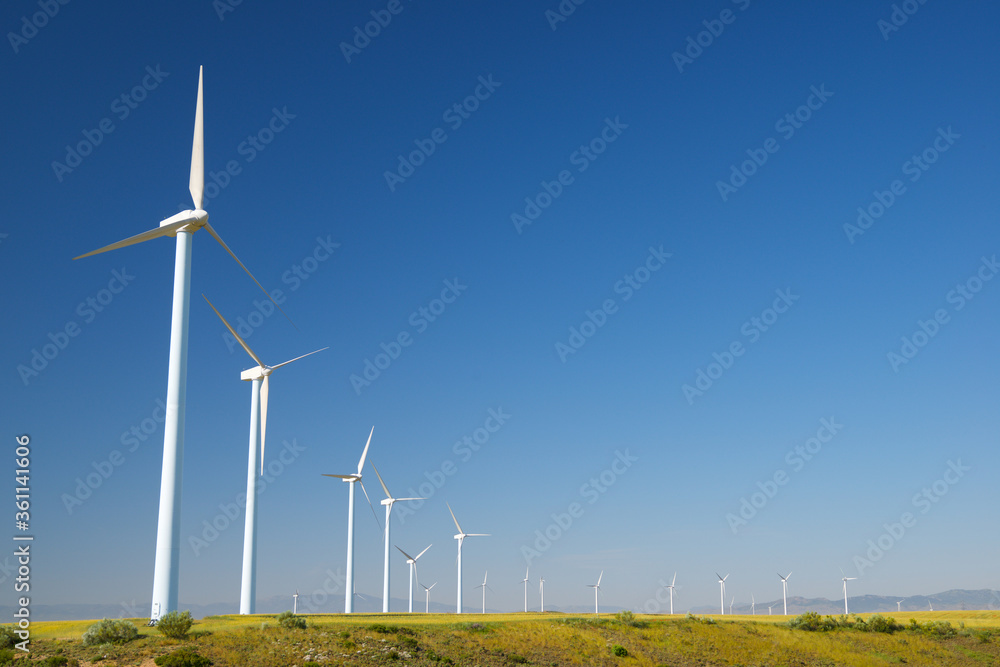 Fototapeta premium Renewable energy concept