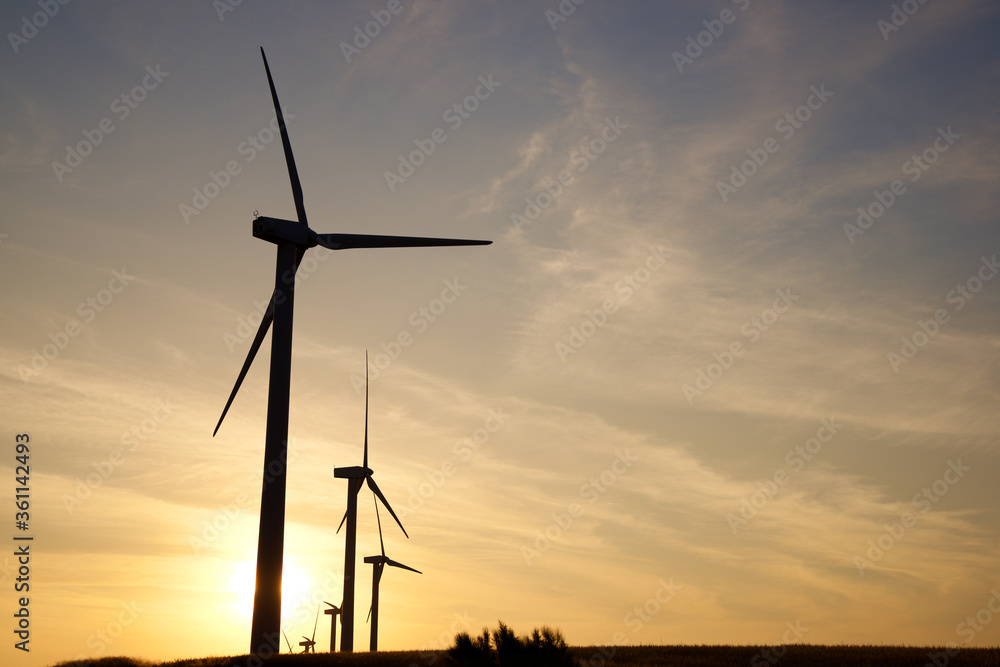 Obraz premium Sustainable energy concept