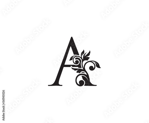 Vintage Letter A Logo. Classic A Letter Design Vector with Black Color and Floral Hand Drawn.