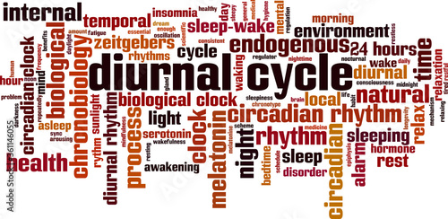 Diurnal cycle word cloud