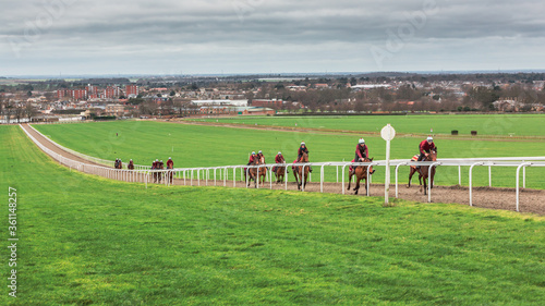 Warren Hill Newmarket photo