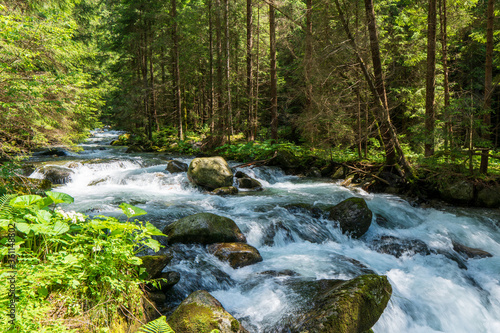 Tatry National Park stream in spring mountains , slovakia