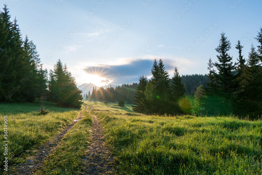 beautiful panorama landscape with sun and forest and meadow at sunrise. sun rays shine through trees. panoramic view. Tatra mountains