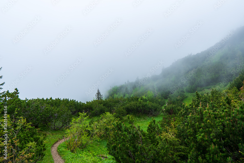 Fototapeta premium foggy morning at mountains , slovakia west tatras sivy vrch