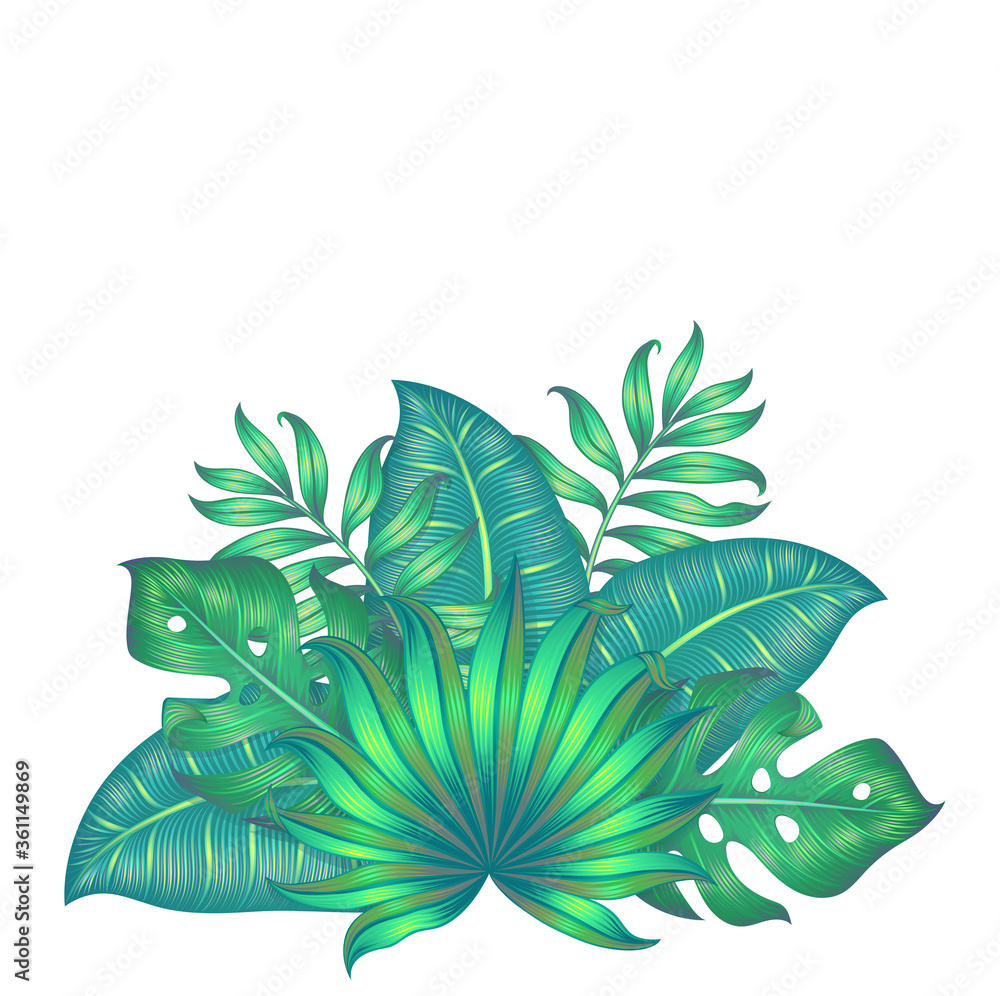 Different tropical leaves isolated on white. Vector illustration.