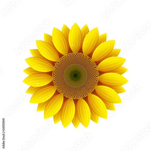 Fototapeta Naklejka Na Ścianę i Meble -  Yellow sunflower flower on a white background, design element, vector icon.