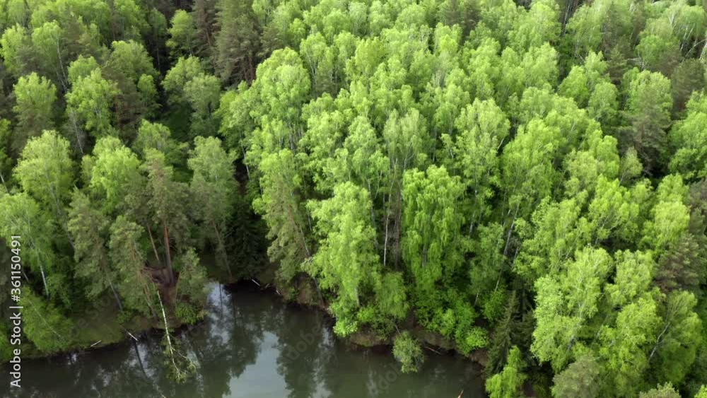 Water in a mountain forest lake with pine trees. Aerial view of lake and green forests. View on the lake between mountain forest. Over crystal clear mountain lake water. Fresh water Water in a mountain forest lake with pine trees. Aerial view of lake and green forests. View on the lake between mountain forest. Over crystal clear mountain lake water. Fresh water
