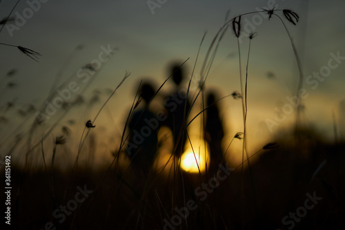 Silhouette of Kids watching sunset at summer wheat field