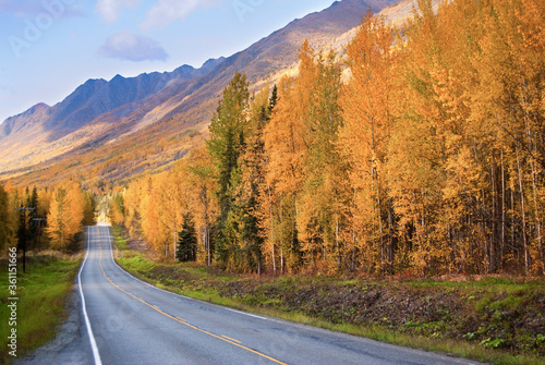 Winding road lined with gold-leafed trees in autumn near Eagle River Alaska