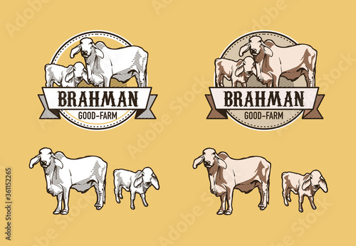 brahman cow farming logo drawing designed 