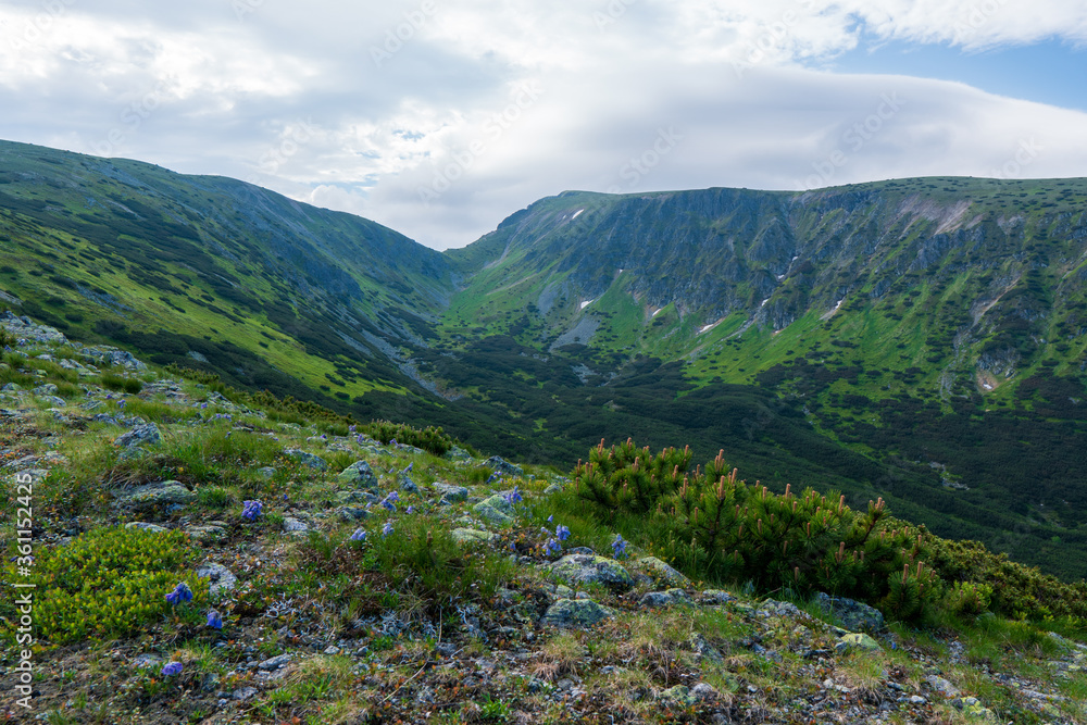 Naklejka premium Panoramic photo of summer mountain of Tatra ridge, Slovakia, summer in the mountains. Travel and hike