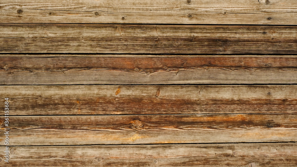 wooden fence, textured background for web design
wooden fence, textured background for web design