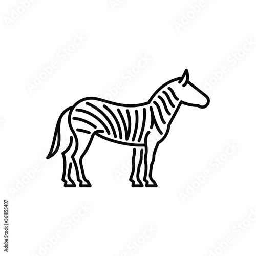 Zebra vector icon. Wild animal, African savannah fauna.