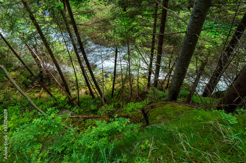 Tatry National Park stream in spring mountains   slovakia