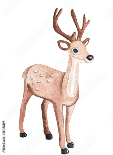 watercolor brown reindeer isolated on white background