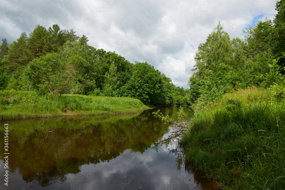 Fototapeta premium Forest blue river water landscape. Blue river water flow in forest. Forest river landscape. River in forest