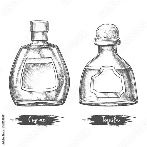 Alcohol drink bottles sketch of cognac and tequila