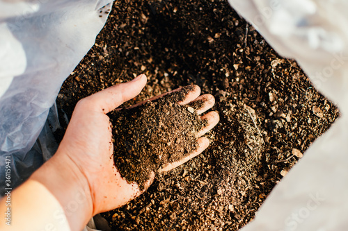 Obraz na plátně Gardener blending organic fertiliser with soil, enriching soil for plants to grow optimally