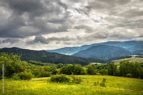 Beautiful hills and meadows on Zlatibor mountain in Serbia at the morning