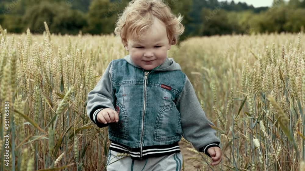 Little boy playing in wheet Little boy playing in wheet