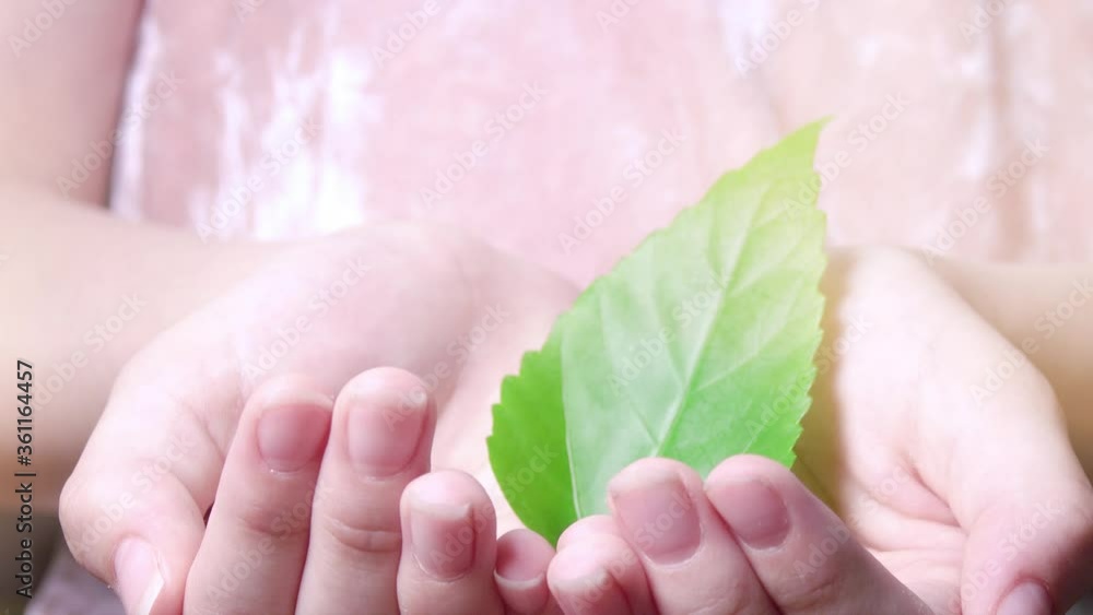 Hands of child holding green leaf. Concept of growing, environment protetion and life.