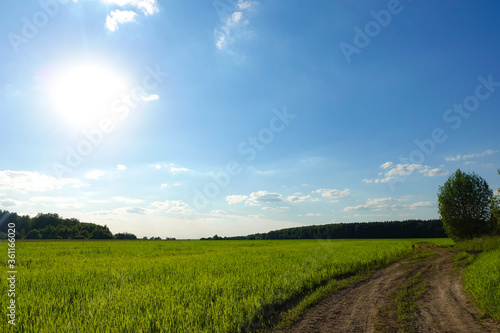 Summer landscape with green grass  road and clouds