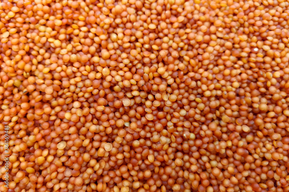 Red lentils close up. Background with a lot of lentils. Red lentils close up. Background with a lot of lentils.