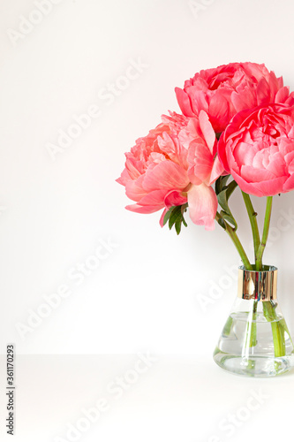 A bouquet of fresh beautiful coral peonies frame on the white table. Copy space