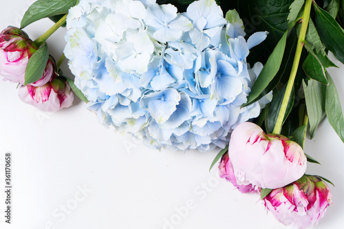 Fresh peony flowers photo