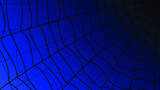 Spider Web On Dark Blue Background Halloween Design Elements Spooky Scary Horror Decor Vector