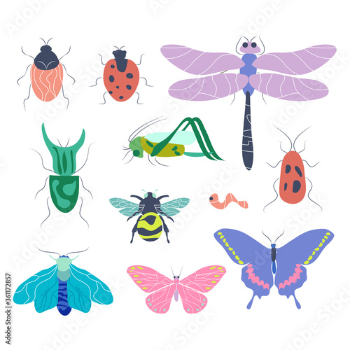 Collection of elegant insect design concepts: butterflies, moths and other beetles isolated on a white background. © Ekaterina