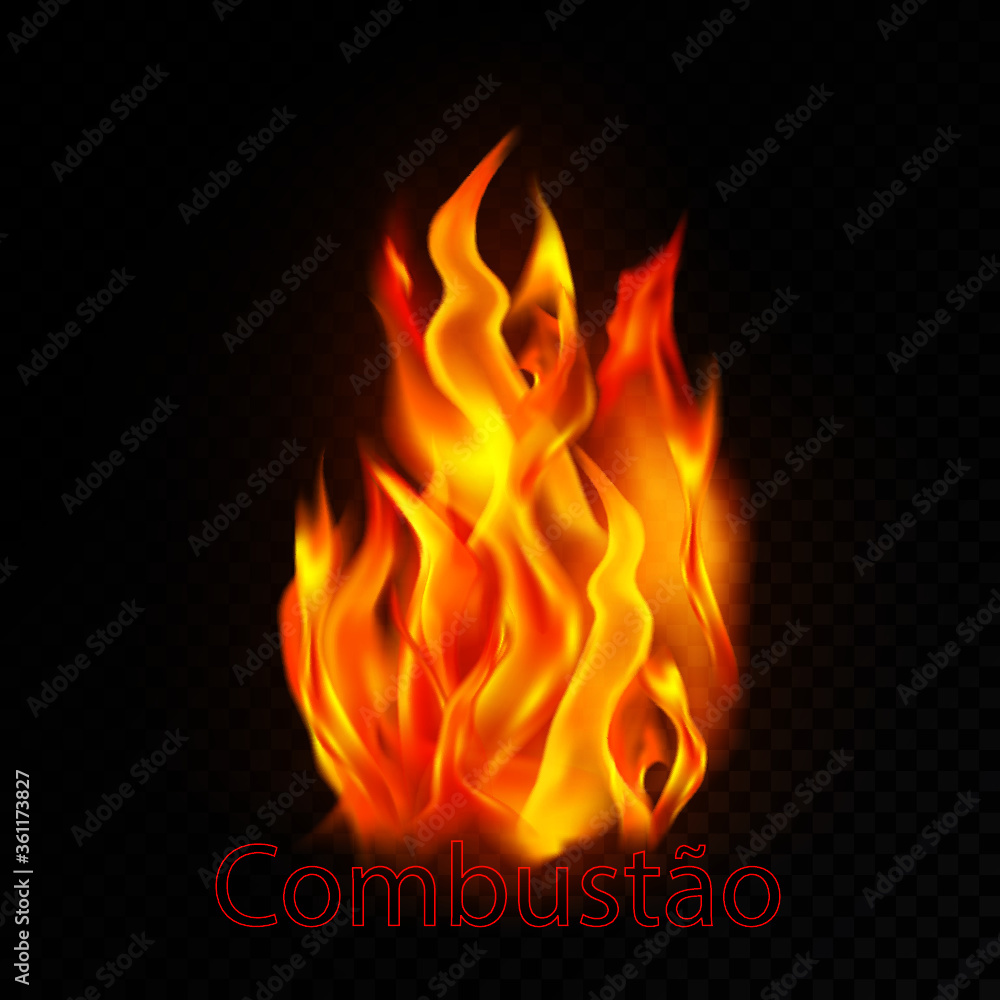 Fototapeta premium Combustão