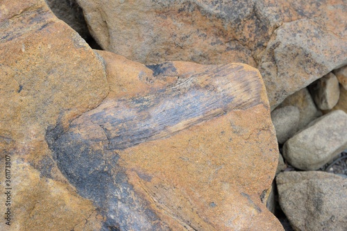 Closeup shot of stones on a coastal beach near Joggins in Cumberland County, Canada photo