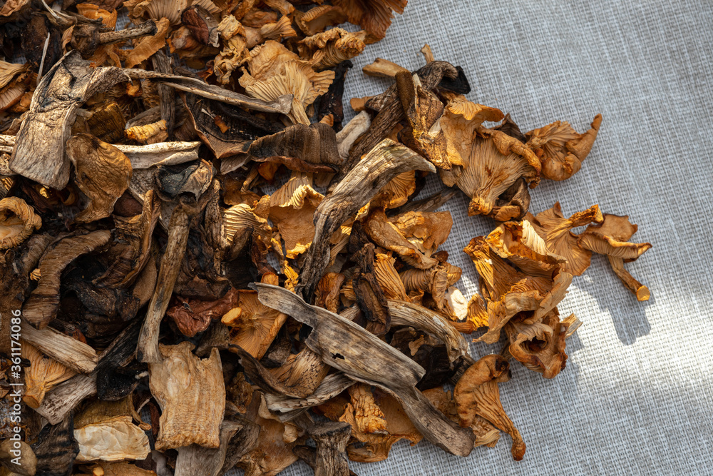 a bunch of dried mushrooms a bunch of dried mushrooms