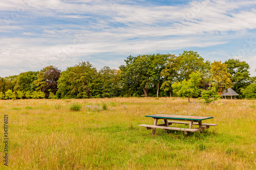 Picnic table in the middle of the field in a public park with yellowish green grass with abundant trees in the background, sunny day with a blue sky with white clouds in South Limburg, Netherlands
