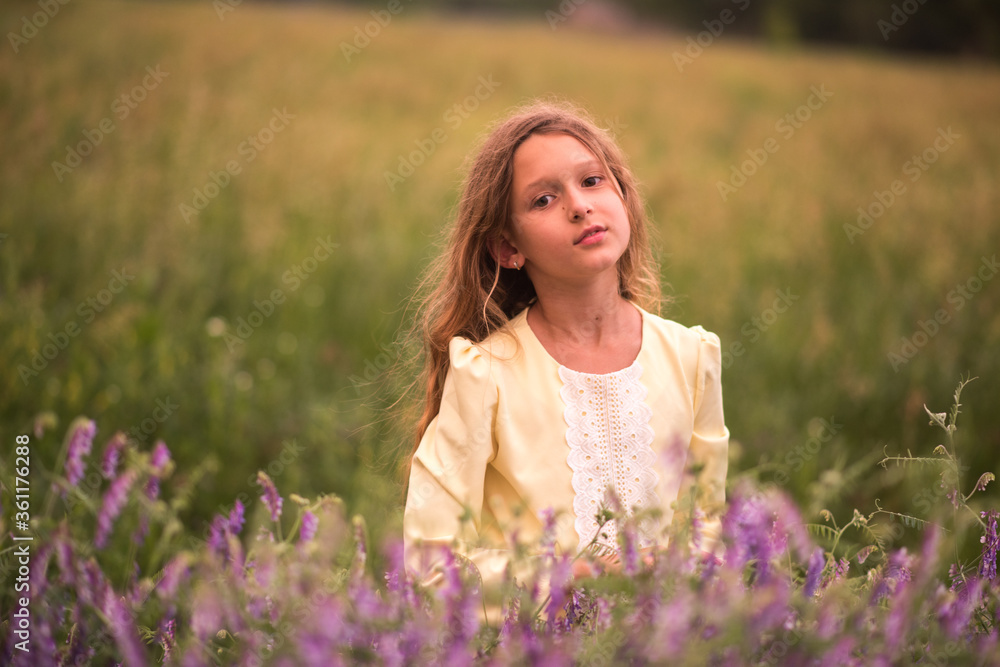 Beautiful girl at sunset in a field with purple flowers. Lavender. The child walks and travels. Rest and games. Long haired girl Beautiful girl at sunset in a field with purple flowers. Lavender. The child walks and travels. Rest and games. Long haired girl