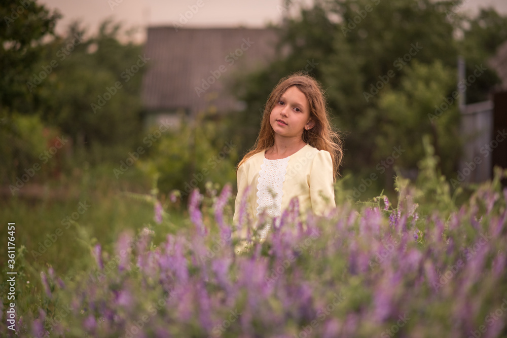 Beautiful girl at sunset in a field with purple flowers. Lavender. The child walks and travels. Rest and games. Long haired girl Beautiful girl at sunset in a field with purple flowers. Lavender. The child walks and travels. Rest and games. Long haired girl