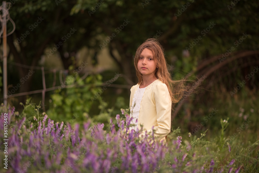 Beautiful girl at sunset in a field with purple flowers. Lavender. The child walks and travels. Rest and games. Long haired girl Beautiful girl at sunset in a field with purple flowers. Lavender. The child walks and travels. Rest and games. Long haired girl