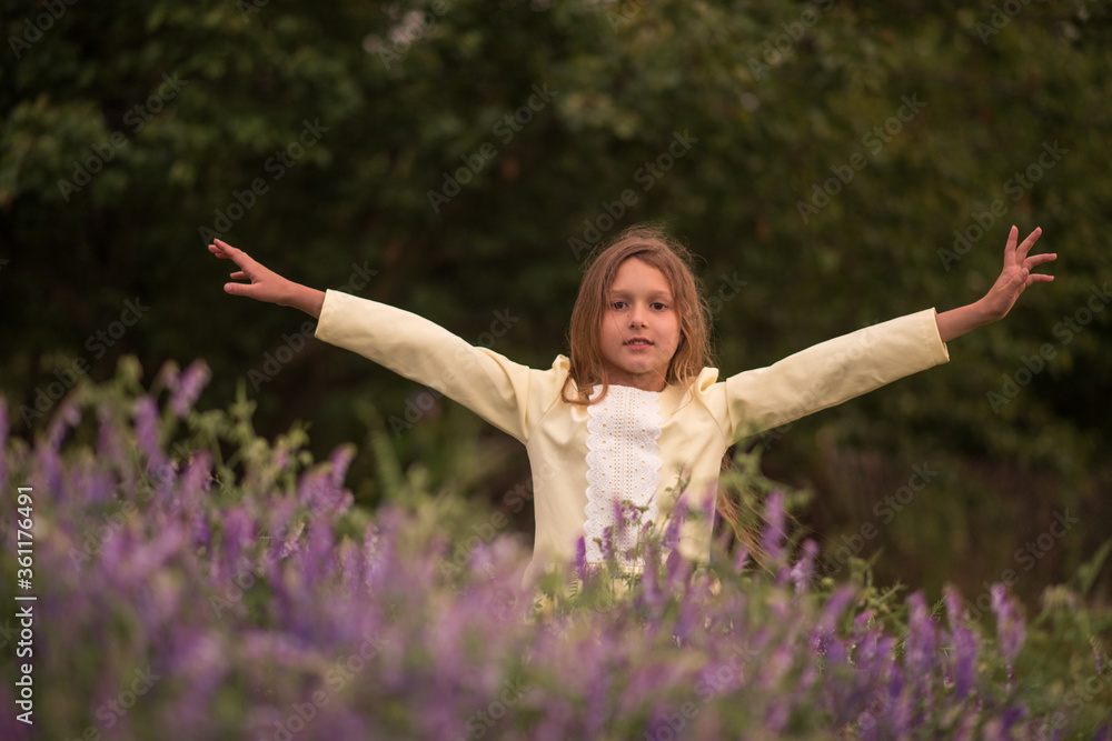 Beautiful girl at sunset in a field with purple flowers. Lavender. The child walks and travels. Rest and games. Long haired girl Beautiful girl at sunset in a field with purple flowers. Lavender. The child walks and travels. Rest and games. Long haired girl