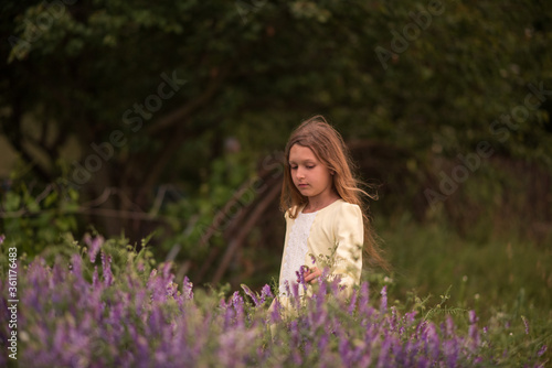 Beautiful girl at sunset in a field with purple flowers. Lavender. The child walks and travels. Rest and games. Long haired girl