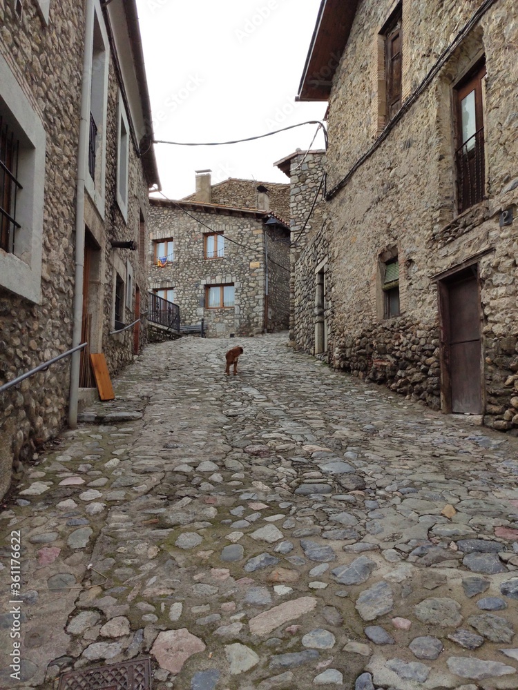 narrow street in the old town of tallinn