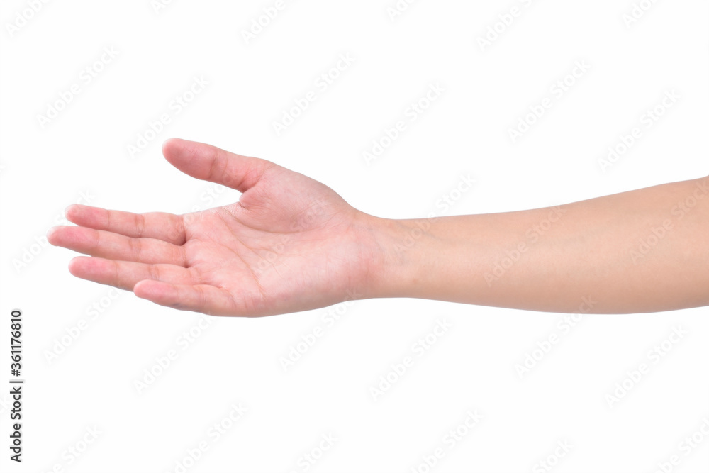beautiful female hand isolated on white background beautiful female hand isolated on white background