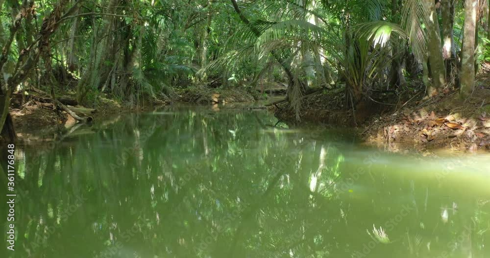 Flight above narrow green murky still river waters in green remote tropical jungle, overhead aerial approach Flight above narrow green murky still river waters in green remote tropical jungle, overhead aerial approach