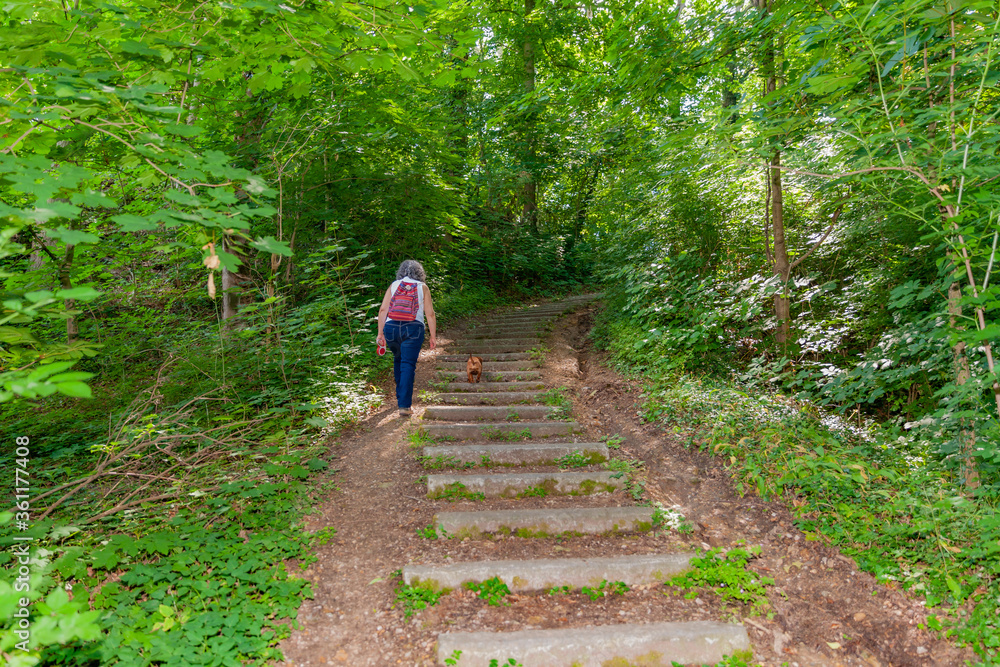Fototapeta premium Mature woman with her dog with her back to the camera climbing a hill next to a stone staircase in the middle of the forest surrounded by trees and greenery, sunny day in South Limburg, Netherlands