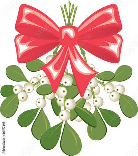 Sprig of beribboned holiday mistletoe