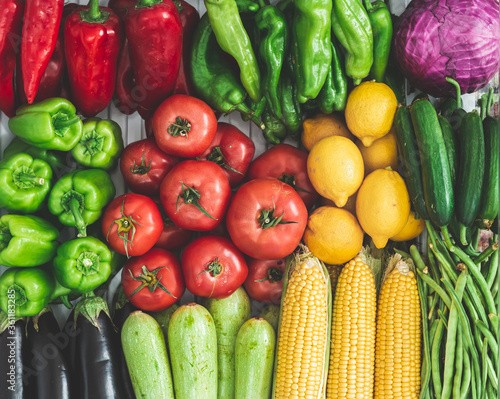 summer vegetables in the refrigerator. Delicious vegetables for summer vegetables corn, tomato, cucumber, eggplant, zucchini, pepper, paprika, green pepper, purple cabbage. organic vegetables. vegetab