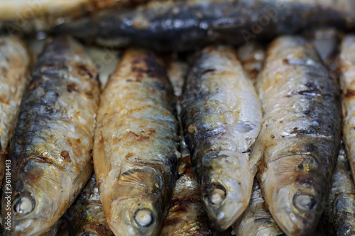 Grilled sardines. Typical portuguese cuisine