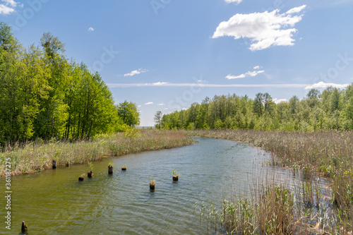 Fototapeta Naklejka Na Ścianę i Meble -  Canal between Luknajno lake and Sniardwy lake in Poland.