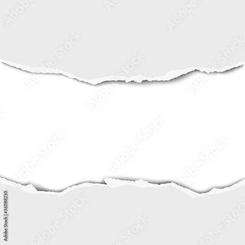 Wallpaper Mural Torn middle of white paper with white background under it. Vector template paper design. Torontodigital.ca